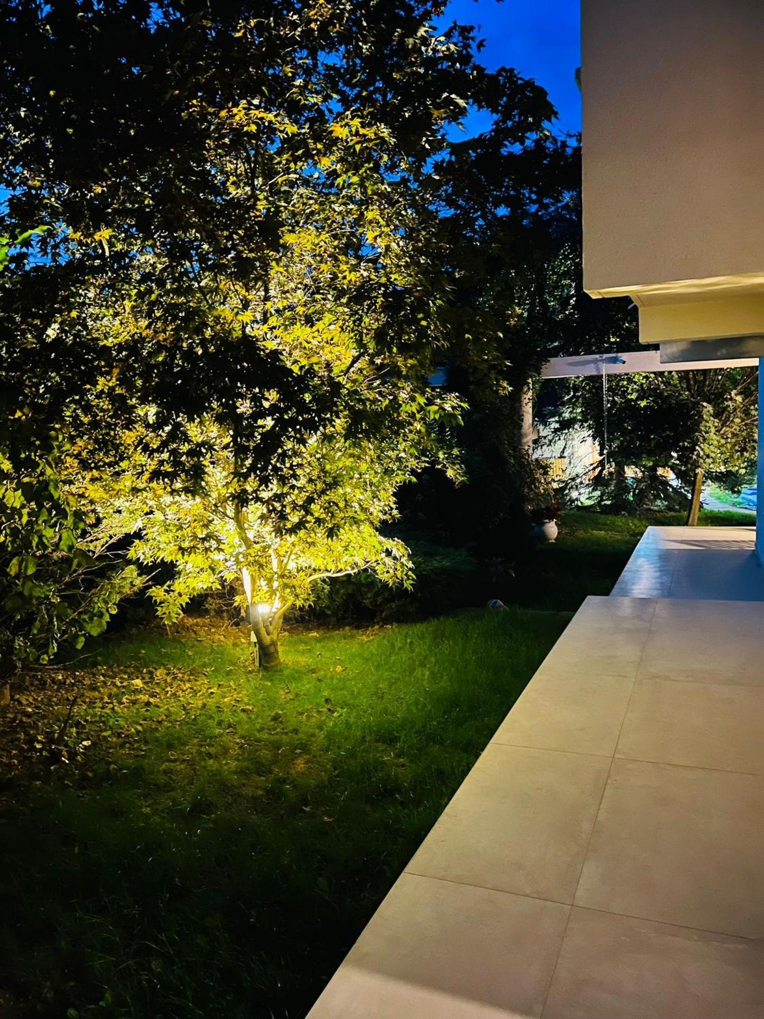 Dragomirna Evie'S Tree Houseヴィラ エクステリア 写真