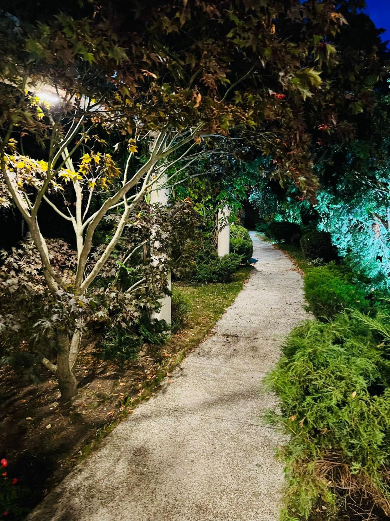 Dragomirna Evie'S Tree Houseヴィラ エクステリア 写真